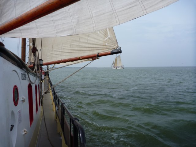 2011 Zeilen031.jpg